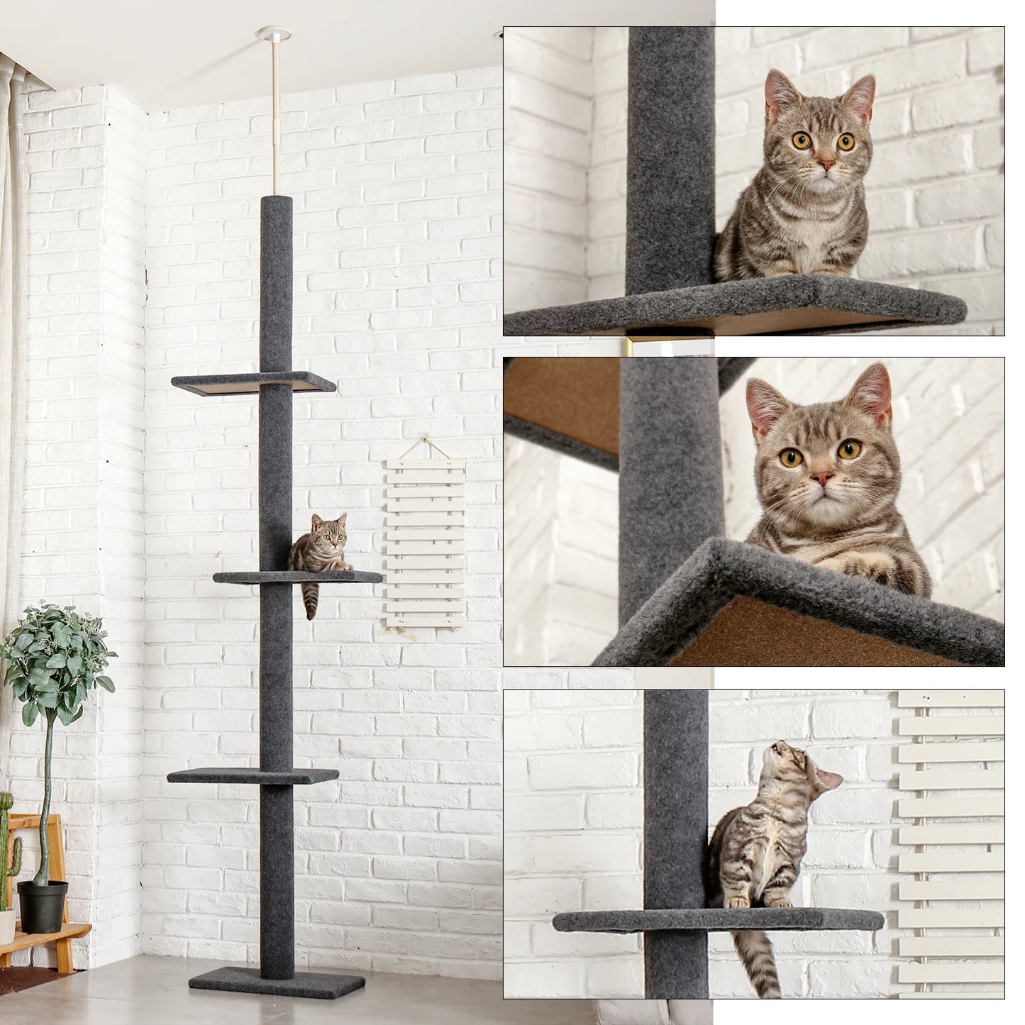 Height Cat Tree.