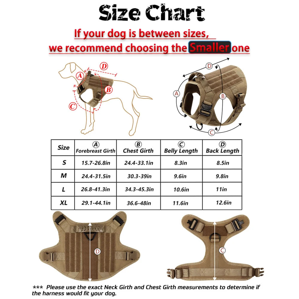 Large Dog Harness and Leash Set.
