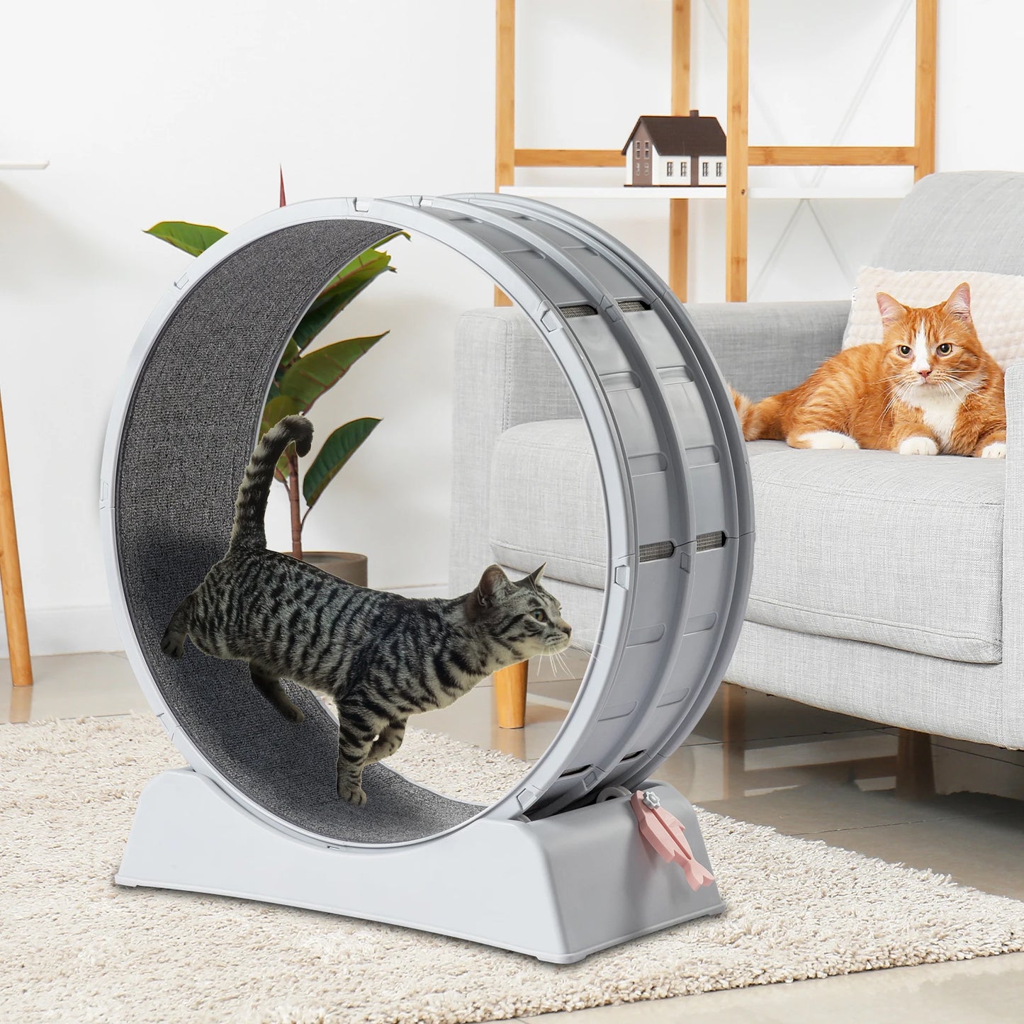 Interactive Cat Exercise Wheel.