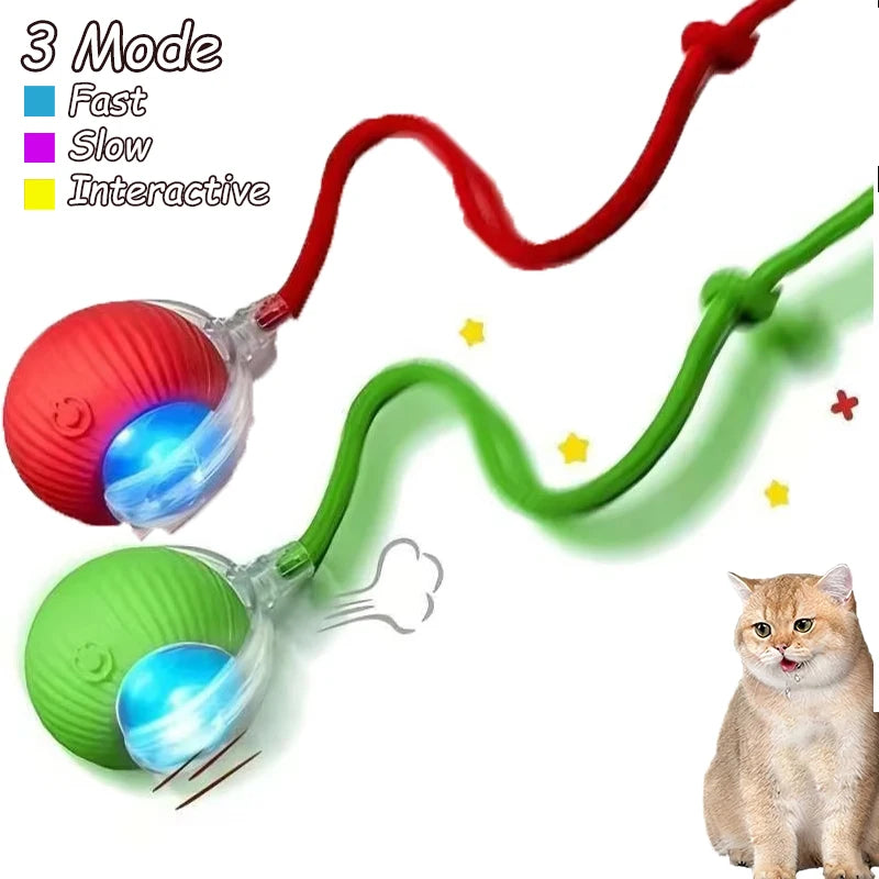 2Pcs Cat Interactive Ball Toys.