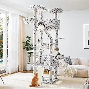 Tall Cat Tree.