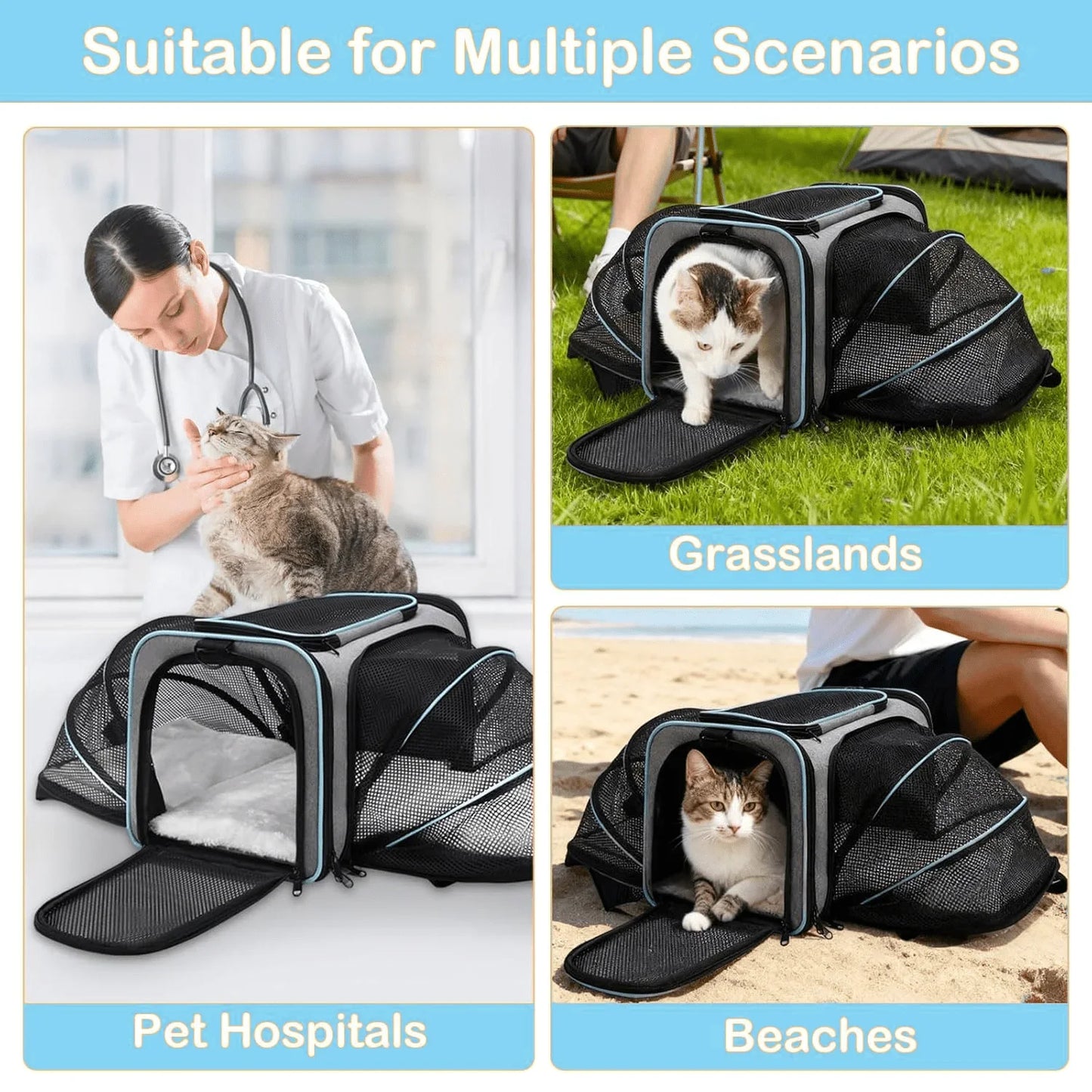 Pet, Cat & Dog Carrier.