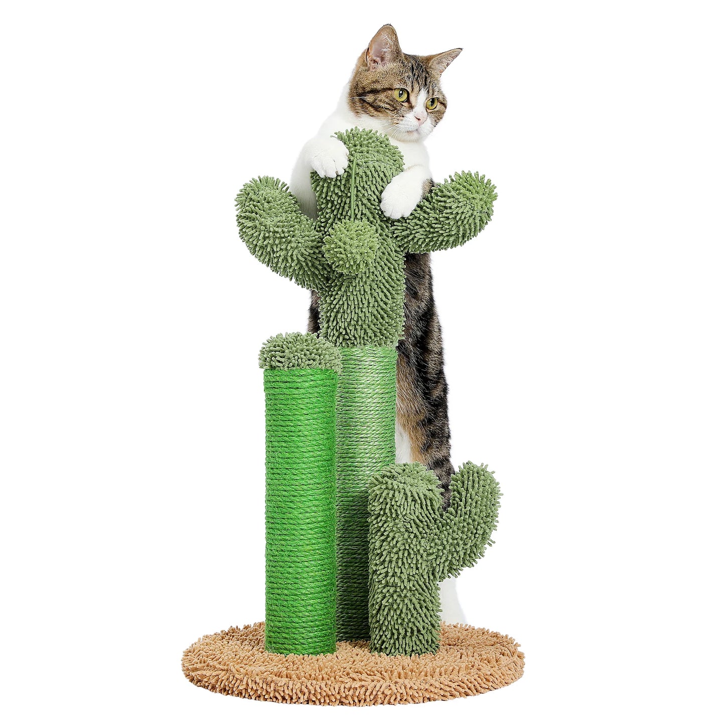 Cactus Cat Scratcher.