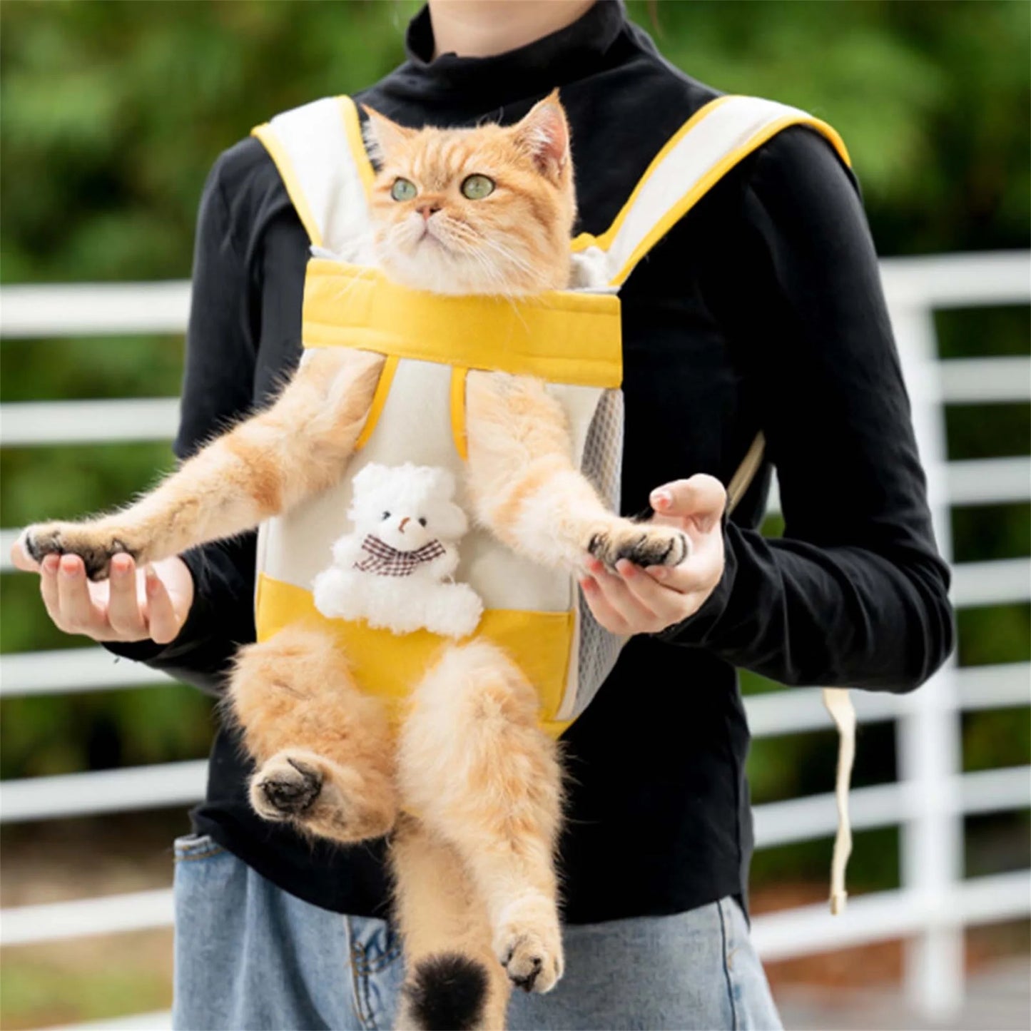 Portable Cat Carrier.