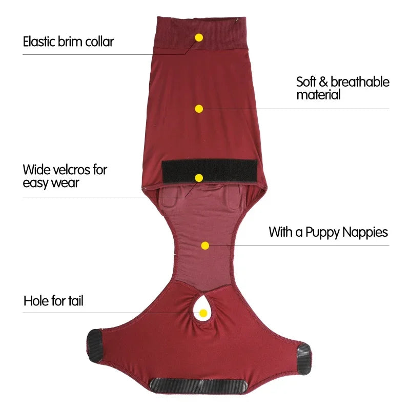 Recovery Suit for Dogs & Cats.