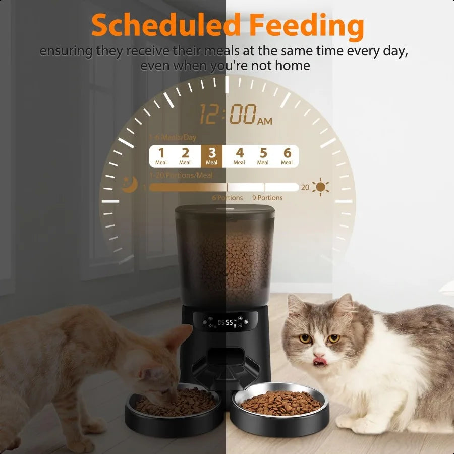 Automatic Cat Feeders for Two.