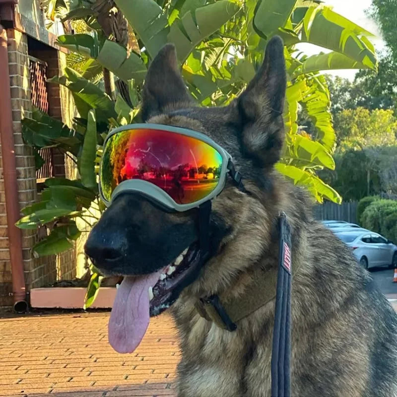 Dog Goggles.