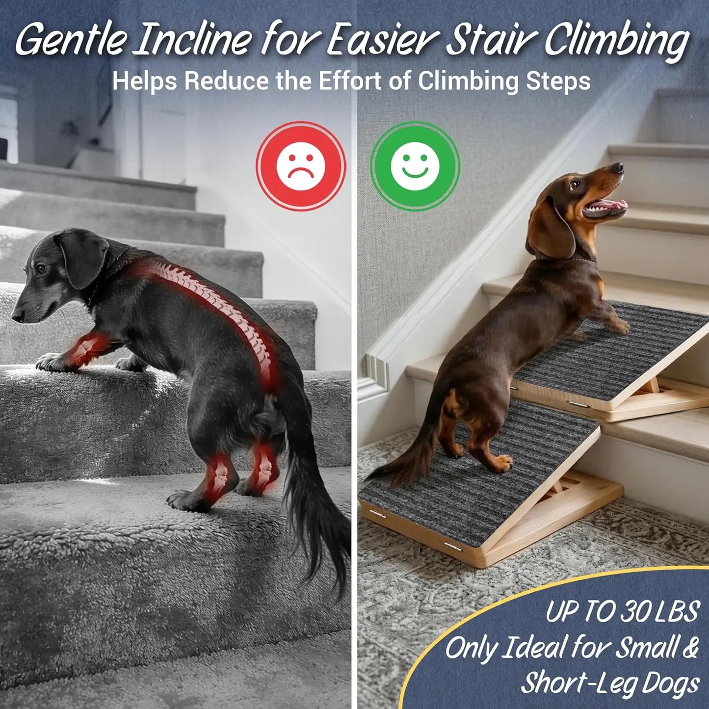 Dog Ramp for Stairs 2 Pack.