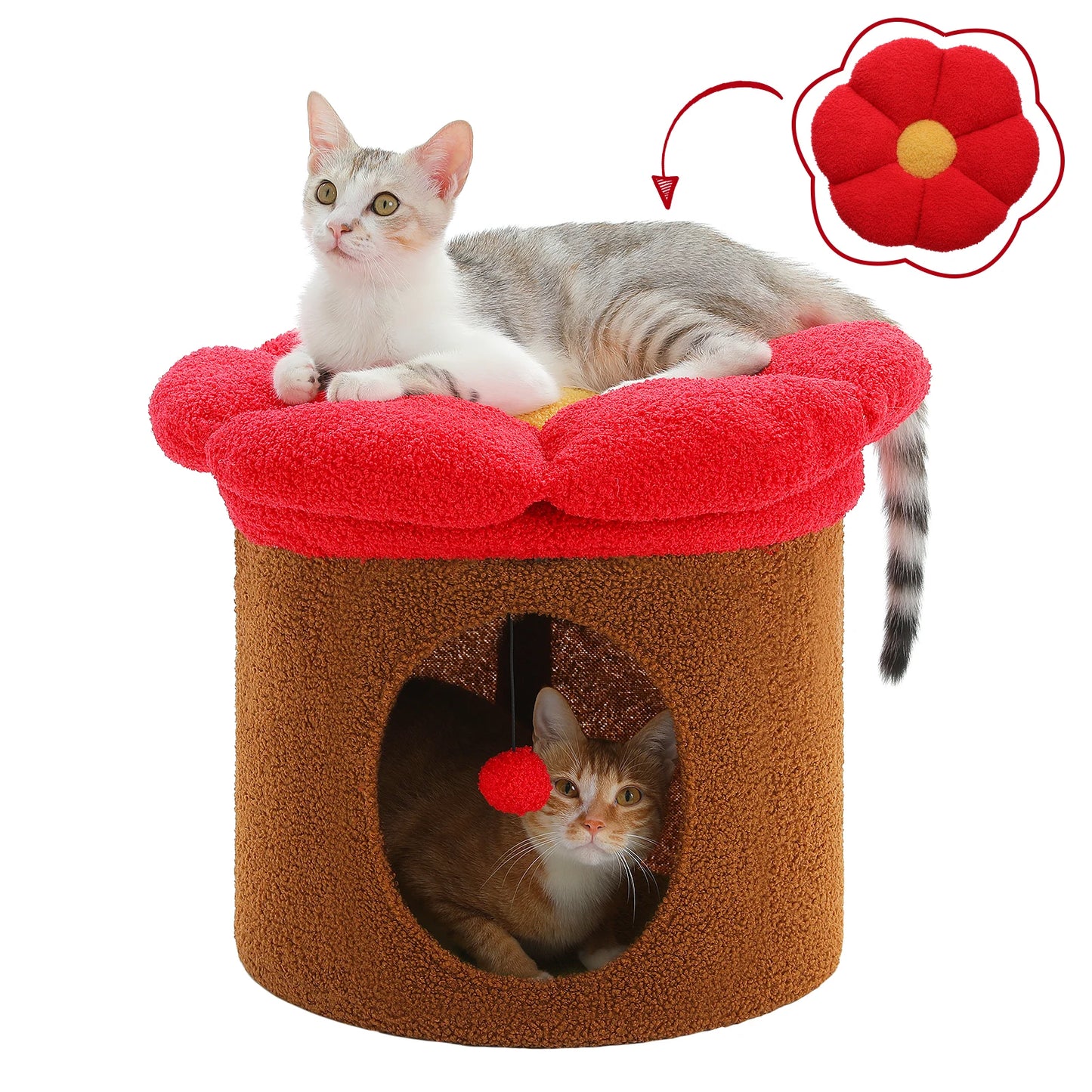 Cat Beds for Indoor Cats.