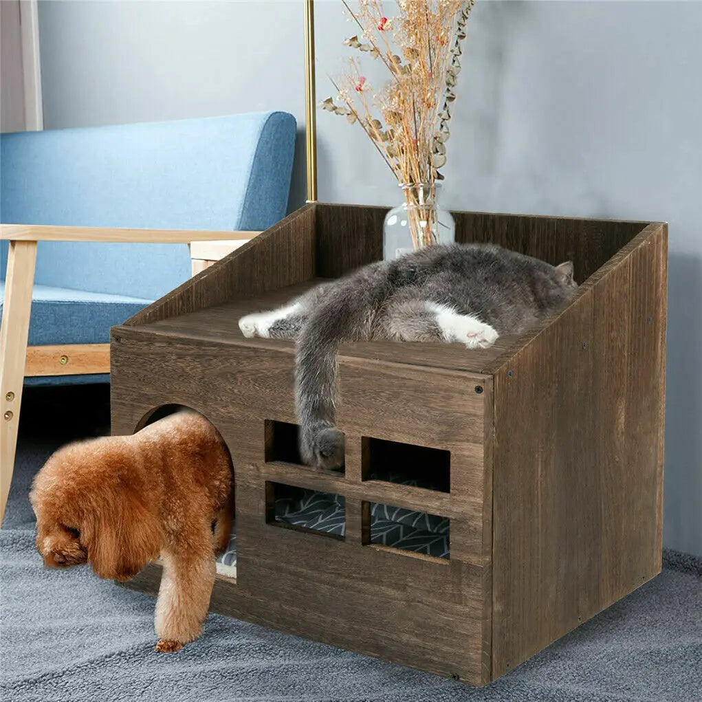Cat Litter Box for Indoors.