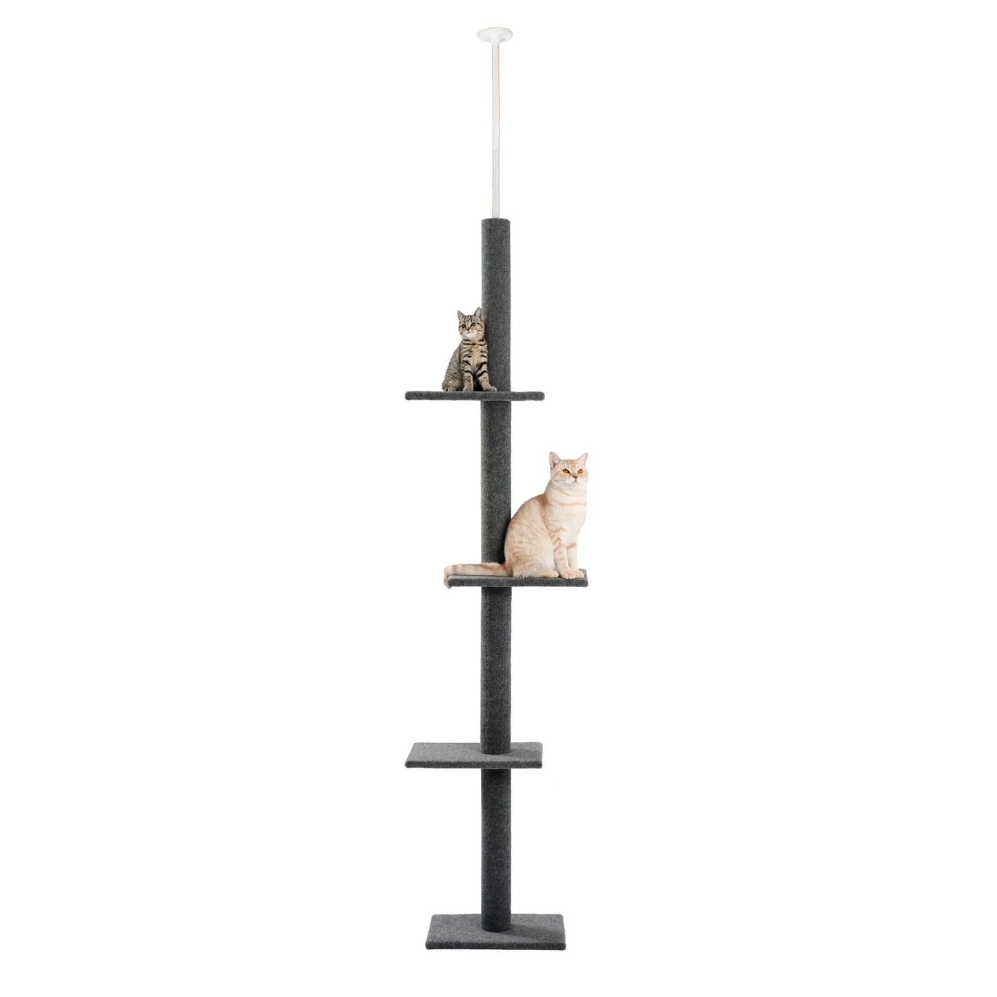 Height Cat Tree.