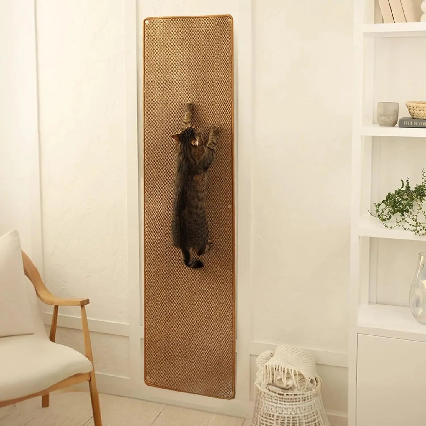 Cat Wall Climbing Carpet.