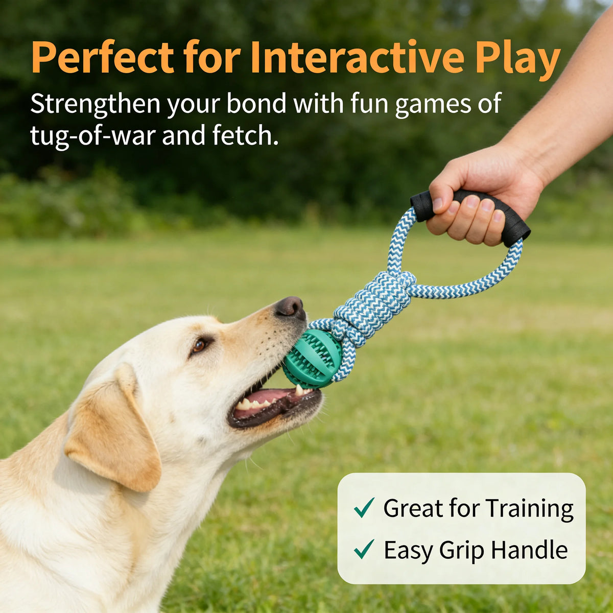 Dog Chew Toy with Treat.