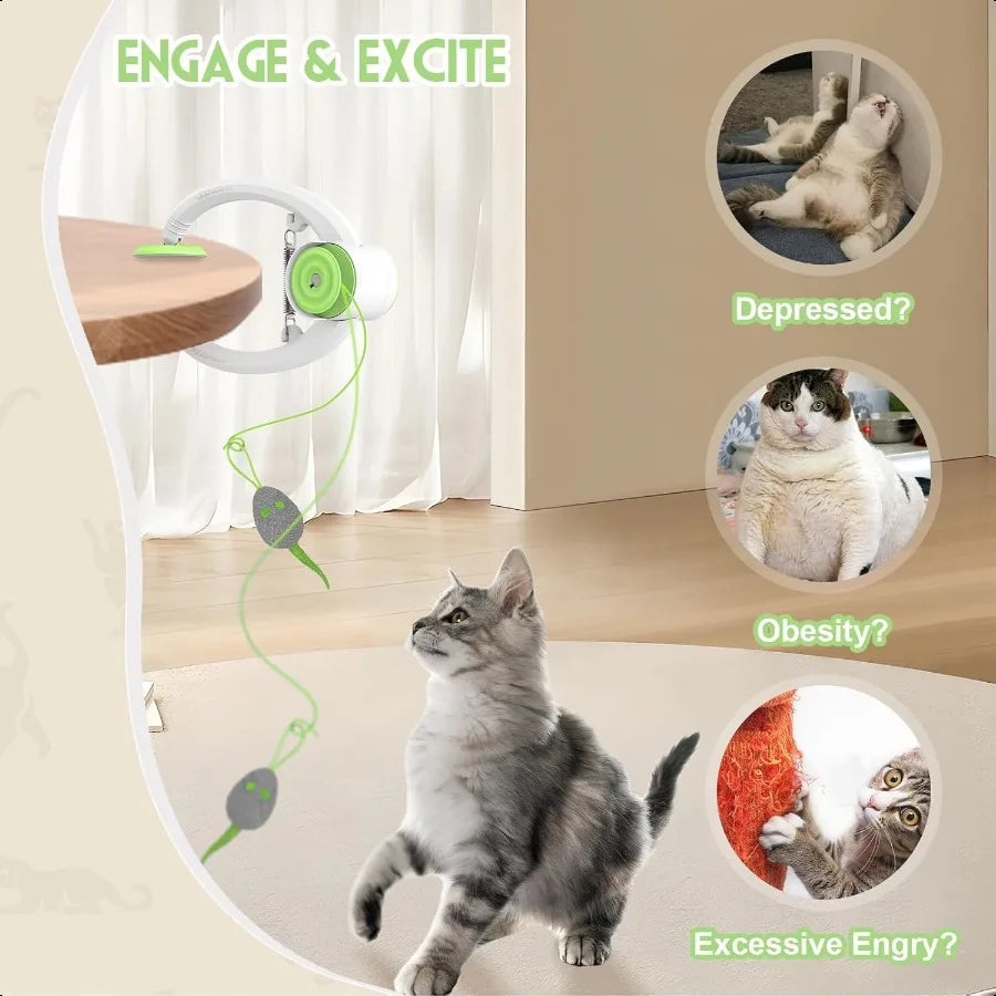Interactive Hanging Door Cat Toy.