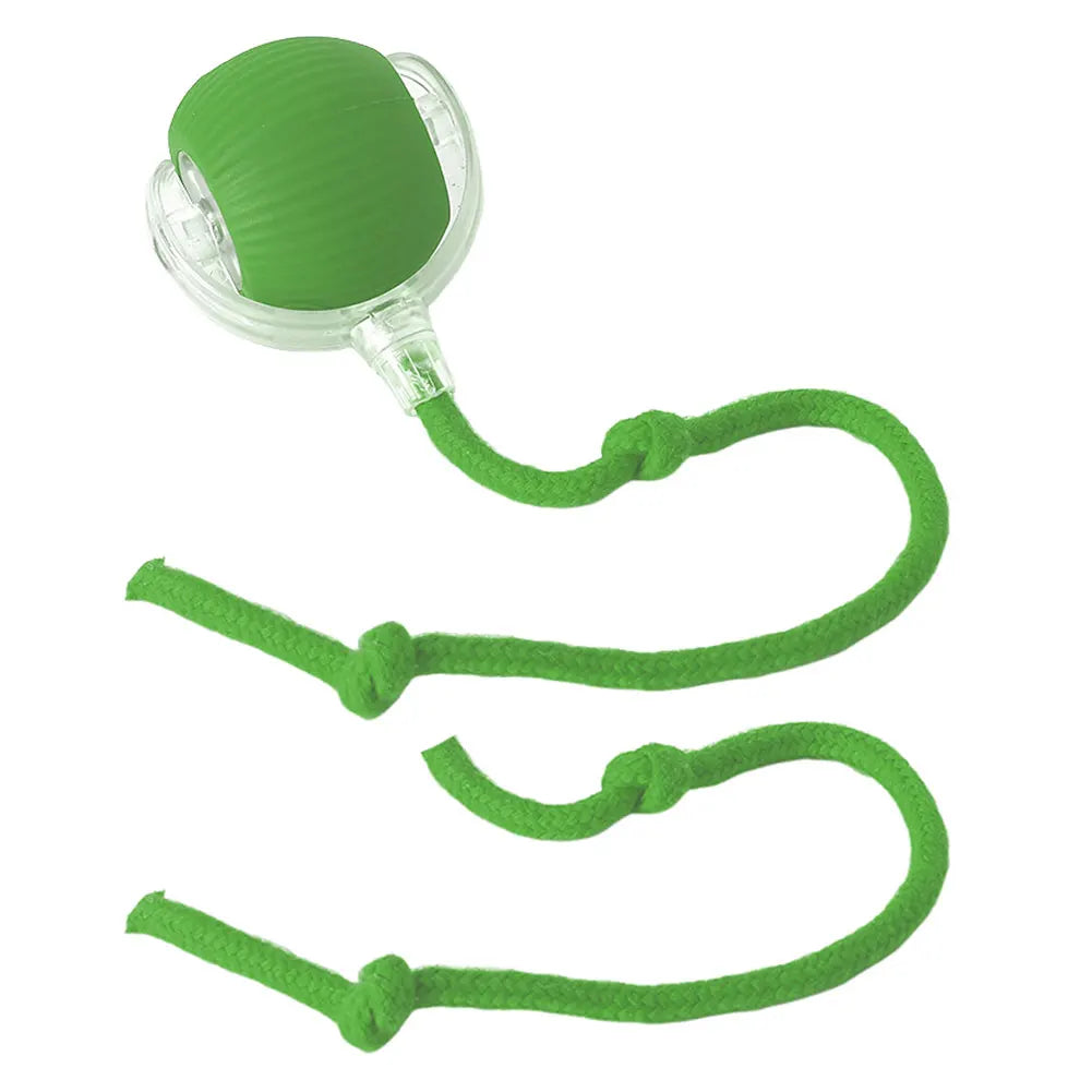 Cat Interactive Ball Toys.