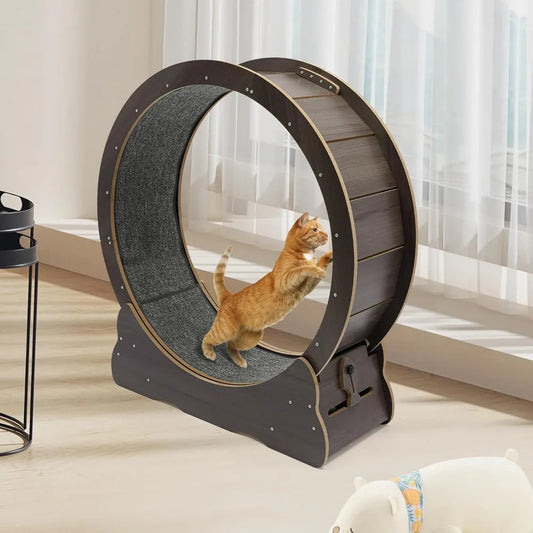 Cat Exercise Wheel.