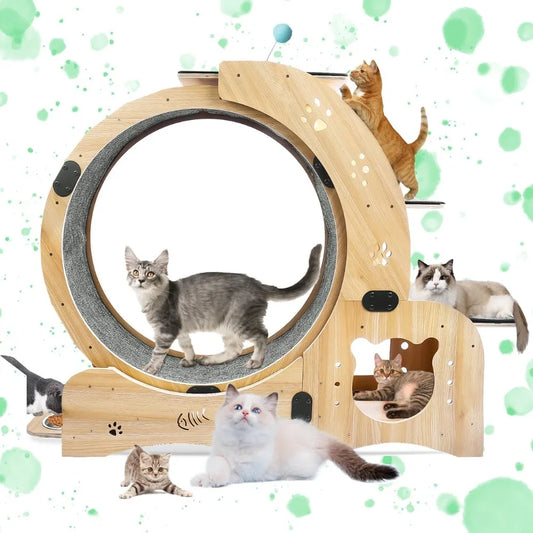 Upgraded Cat Wheel.