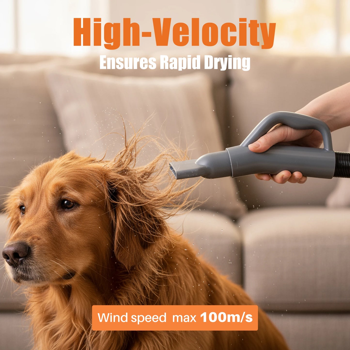 Pet Blow Dryer.
