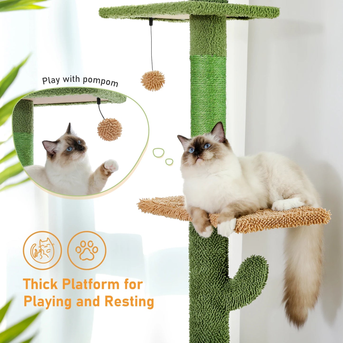 Cat Tree 5-Tier Floor to Ceiling Cat Tower.