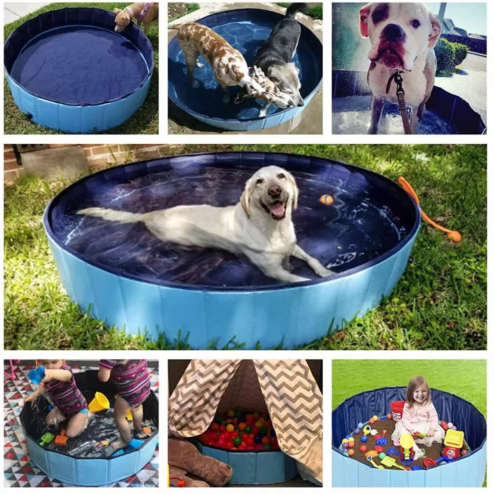 Dog Swimming Pool.