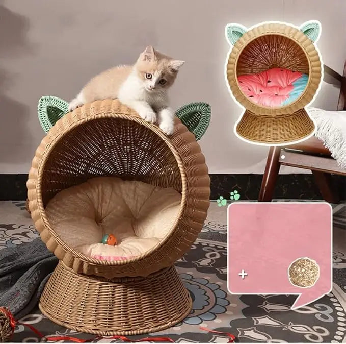 Cats Hammock.