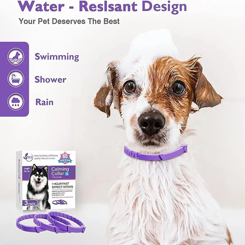 Pet Calming Collar.