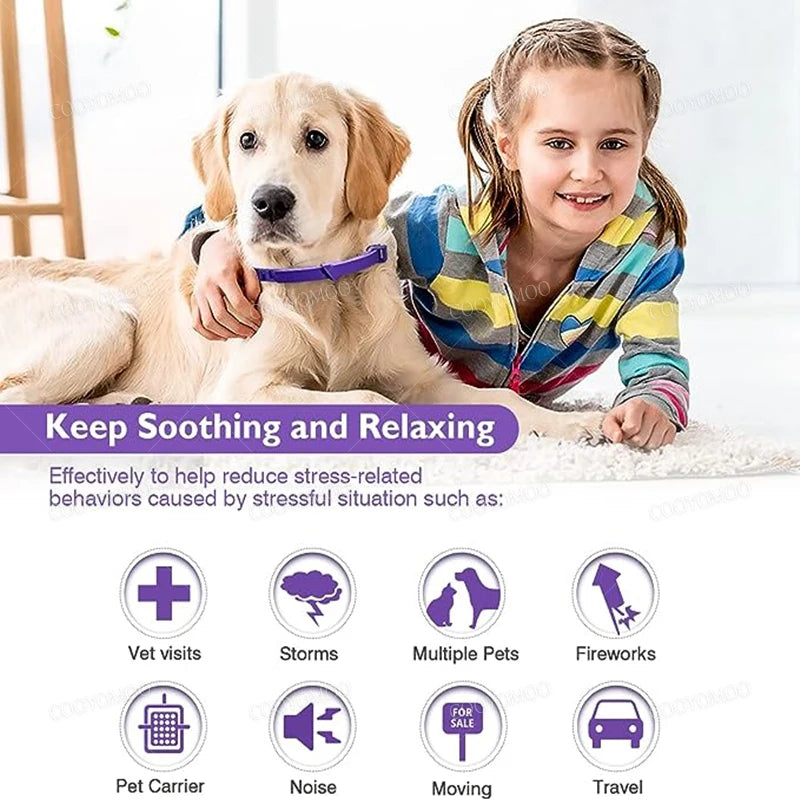 Pet Calming Collar.