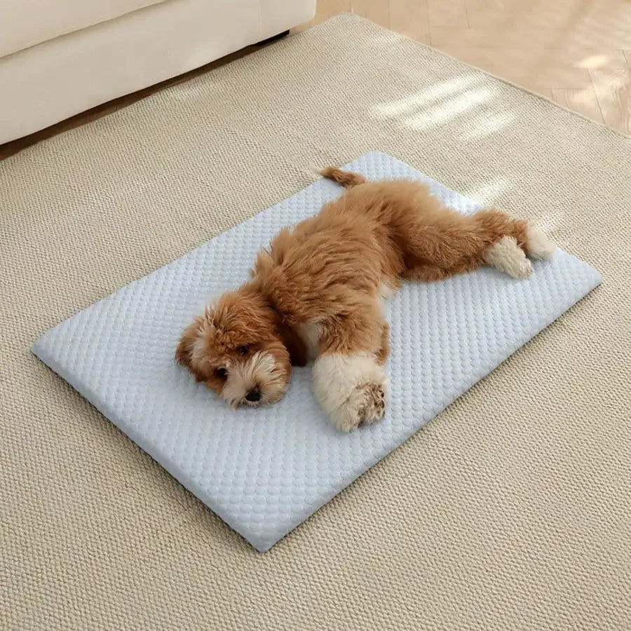 Sponge Cooling Cat Bed.