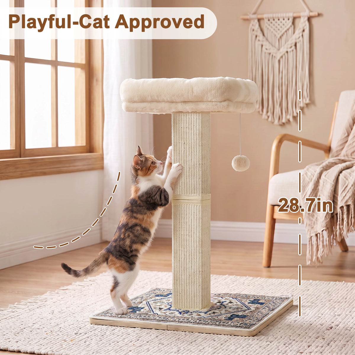 Heavy Duty Cat Scratcher.
