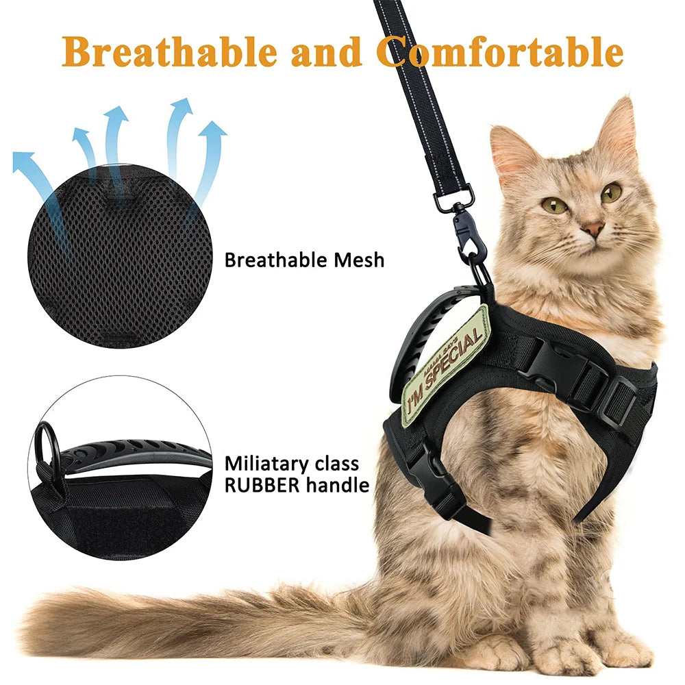 Tactical Cat Harness.