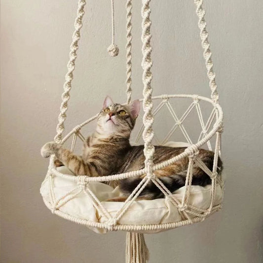 Cat & Kitten Hammock.