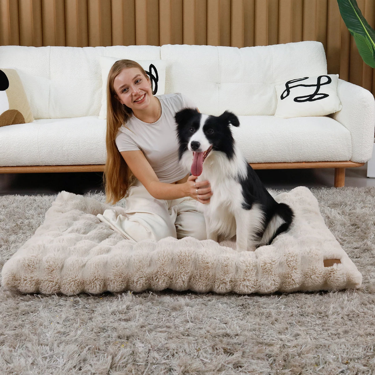 Ultra-Soft Plush Dog Bed.