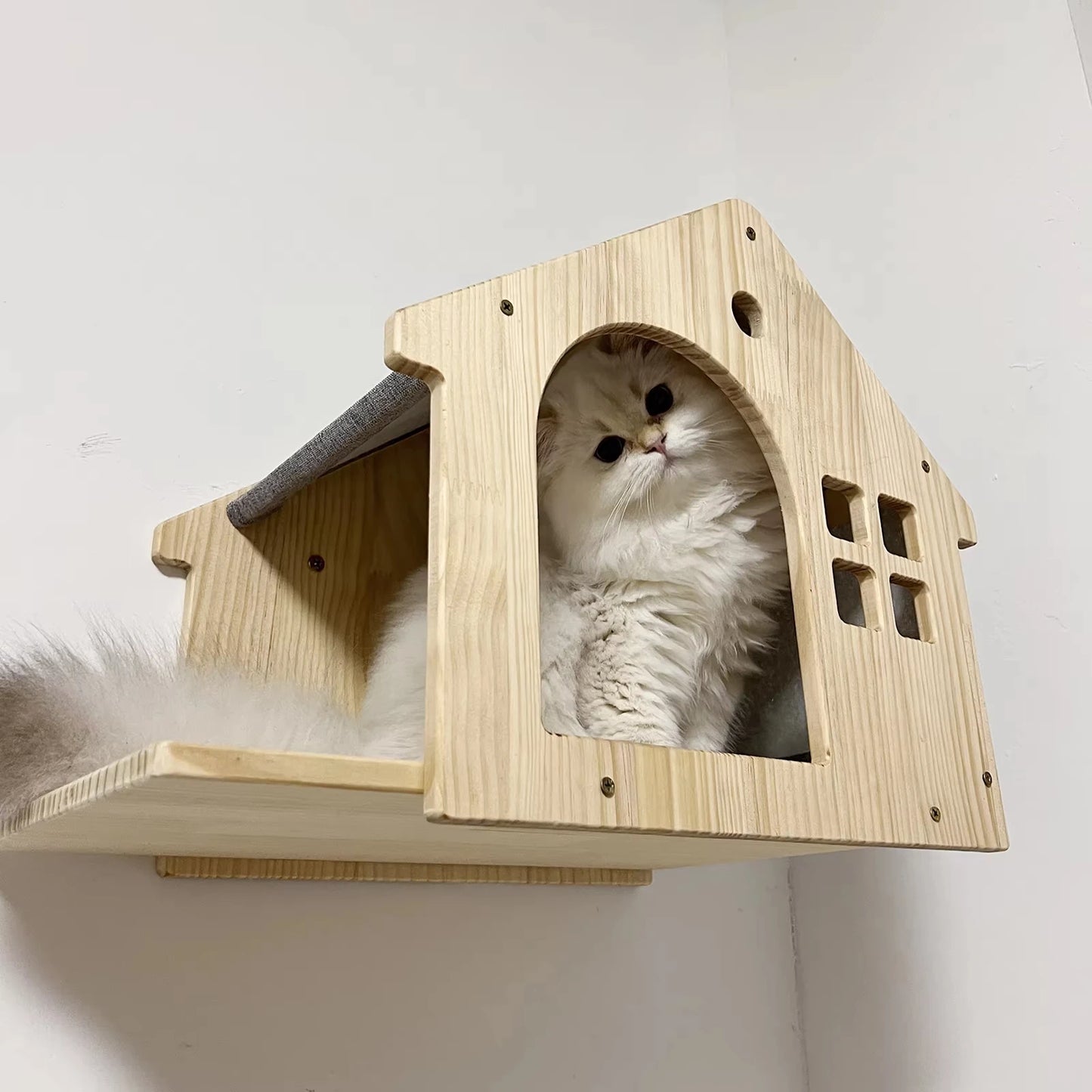Wall Mounted Cat Condo Villa.