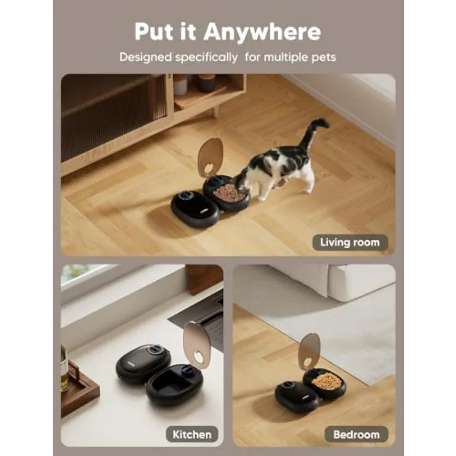 Automatic Cat Feeder.