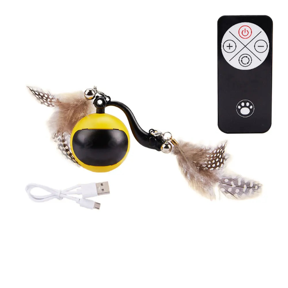 Cat Interactive Ball.