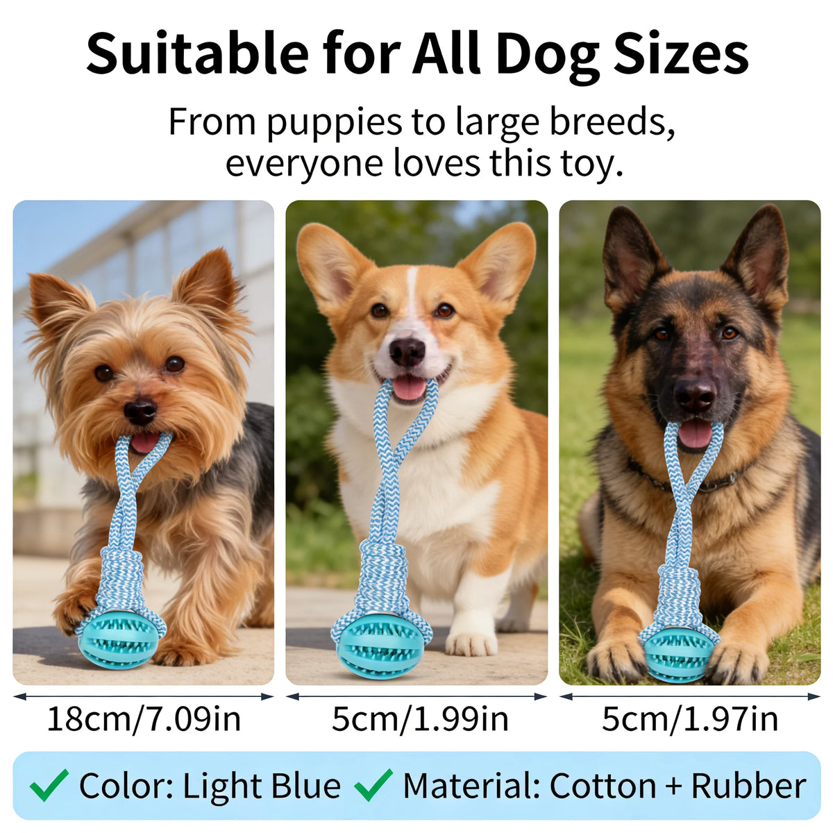 Dog Chew Toy with Treat.