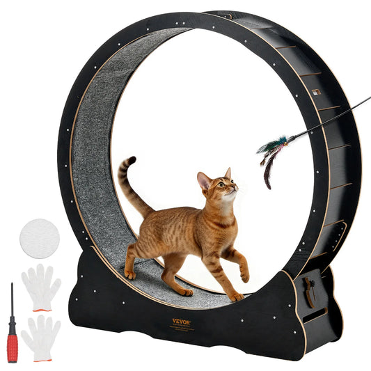 Cat Exercise Wheel.
