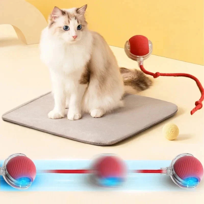 Rolling Ball Cat Toy.