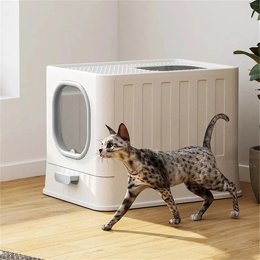 Large Cat Litter Box.