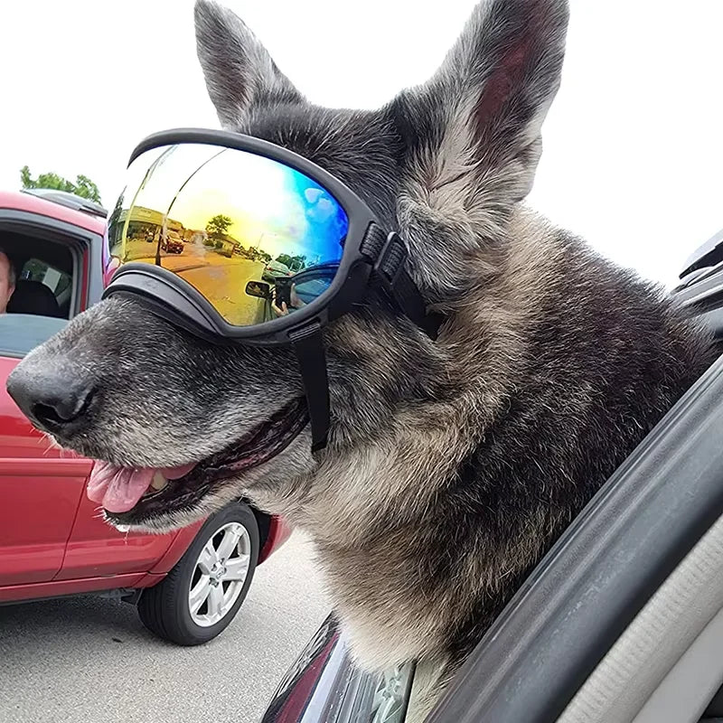 Dog Goggles.