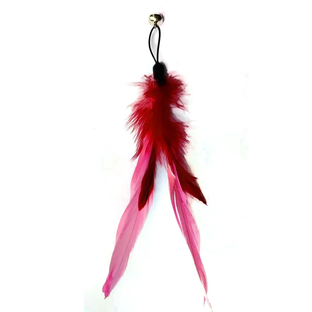 Cat Toy.