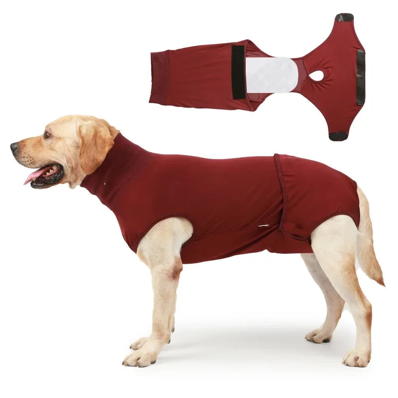 Recovery Suit for Dogs & Cats.