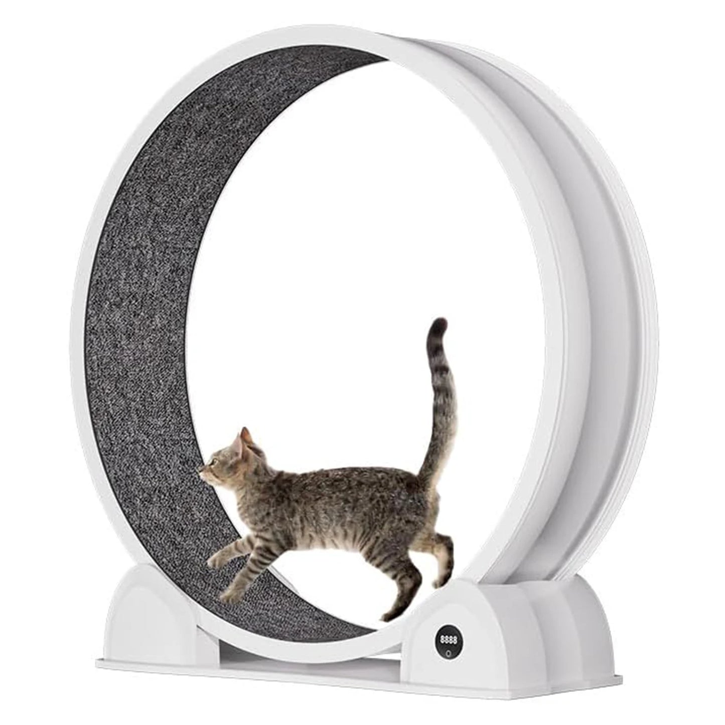 Cat Exercise Wheel.