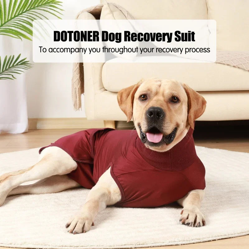 Recovery Suit for Dogs & Cats.