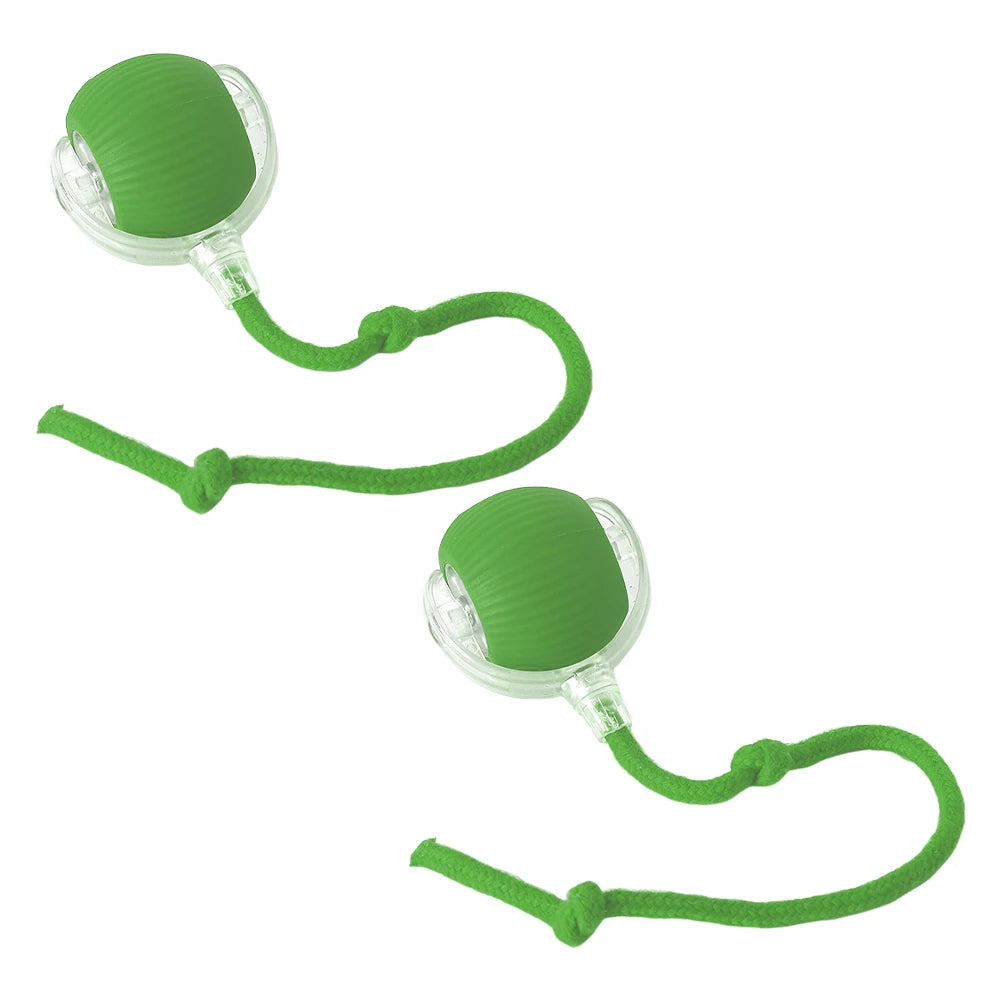 Cat Interactive Ball Toy.
