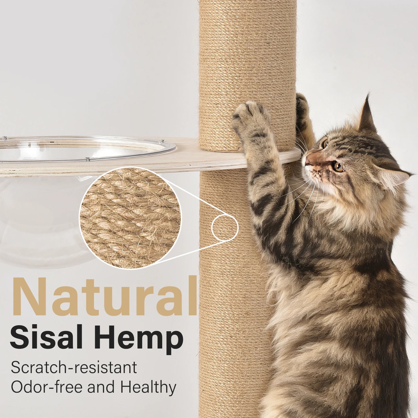 Floor To Ceiling Cat Tree.