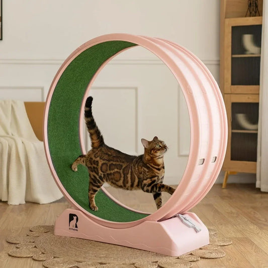 Cat Exercise Wheel.