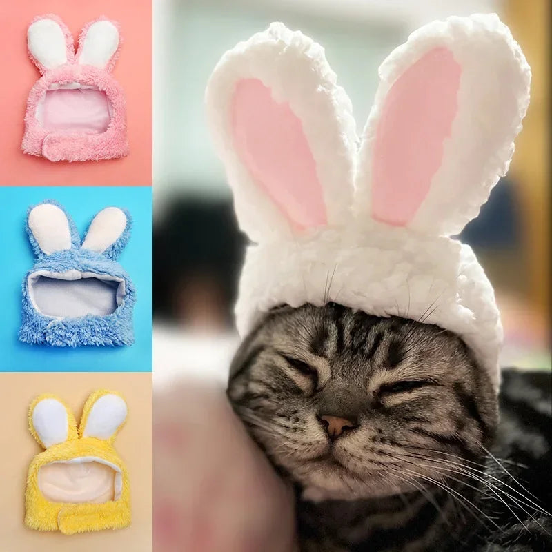 Funny Cat Headgear.