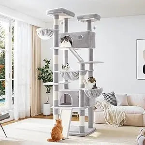 Tall Cat Tree.
