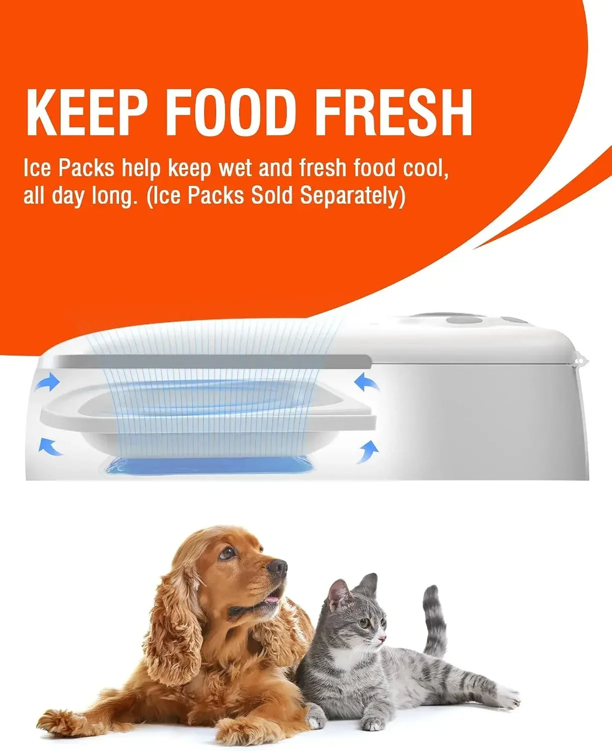 Automatic Wet Food Cat Feeder.